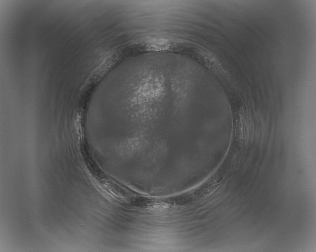 X0000054410598200508121727