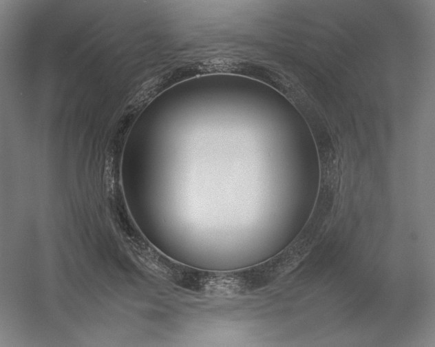 X0000054410599200508121727