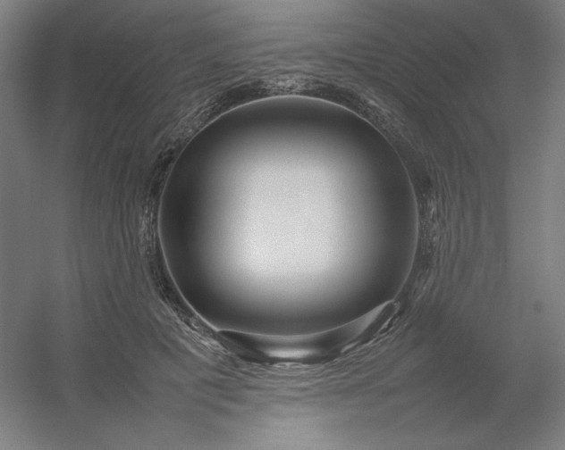 X0000054410601200508121727