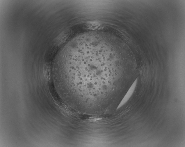 X0000054410602200508121727