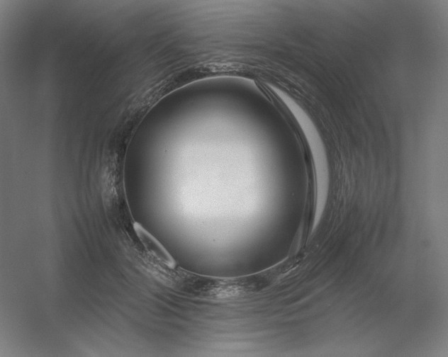 X0000054410604200508121727