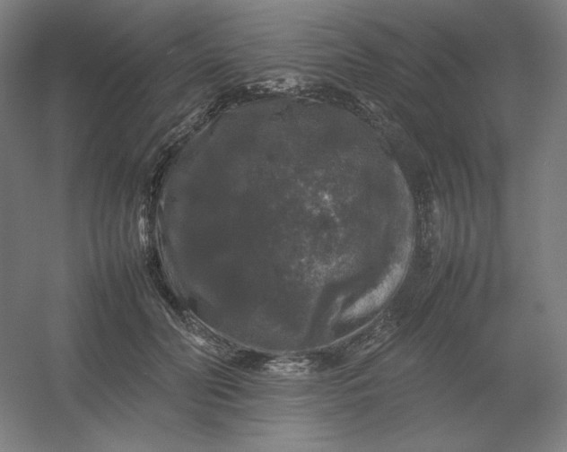 X0000054410606200508121727