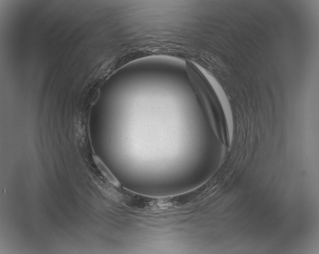 X0000054410607200508121727