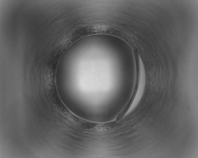 X0000054410608200508121727