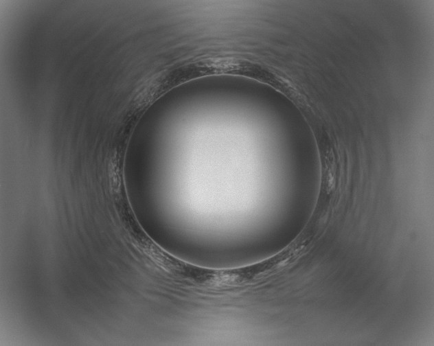 X0000054410609200508121727