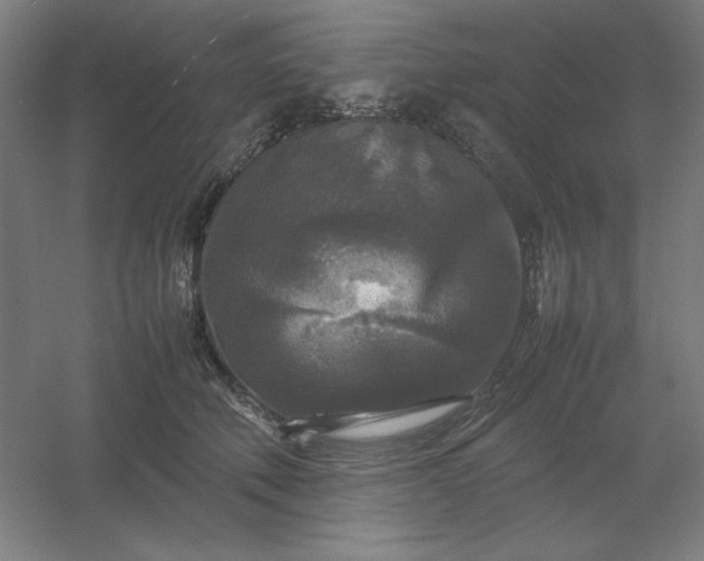 X0000054410610200508121727