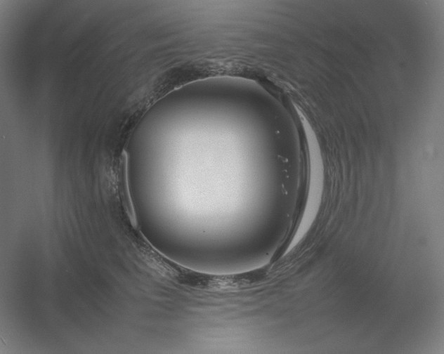 X0000054410613200508121727