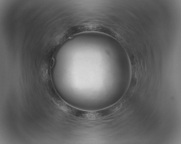 X0000054410615200508121727