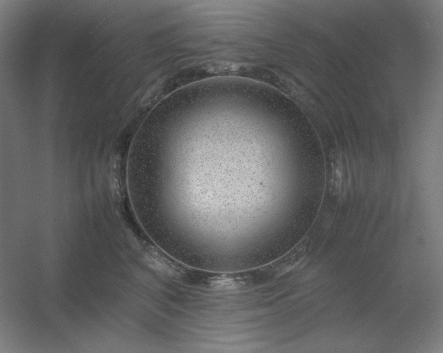 X0000054410616200508121727