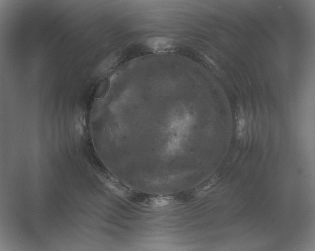 X0000054410618200508121727