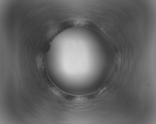 X0000054410619200508121727