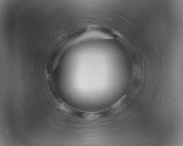 X0000054410621200508121727