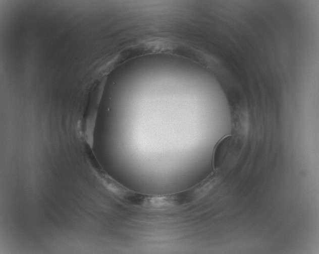 X0000054410622200508121727