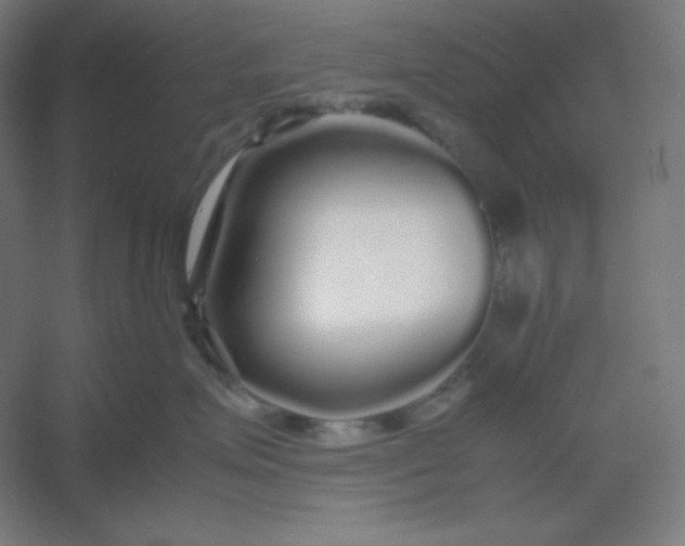 X0000054410623200508121727