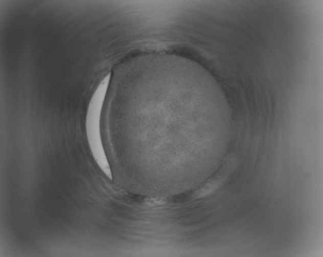 X0000054410624200508121727