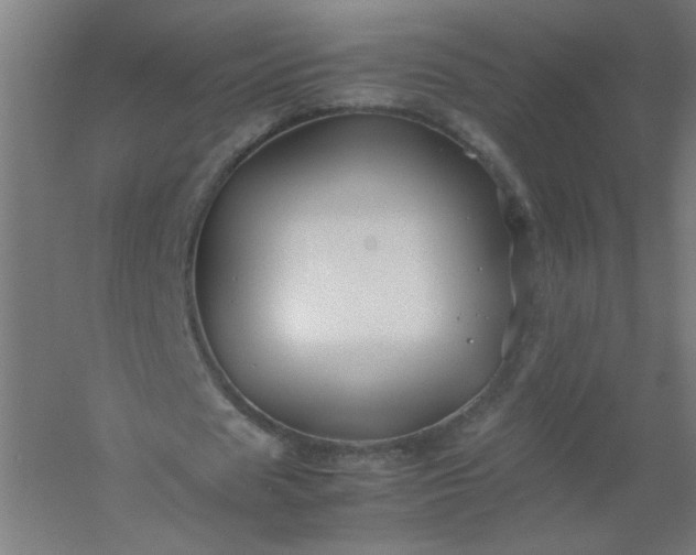 X0000054410625200508121726