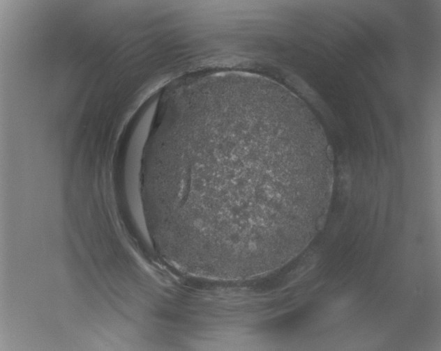 X0000054410626200508121726