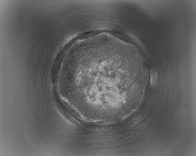 X0000054410627200508121726