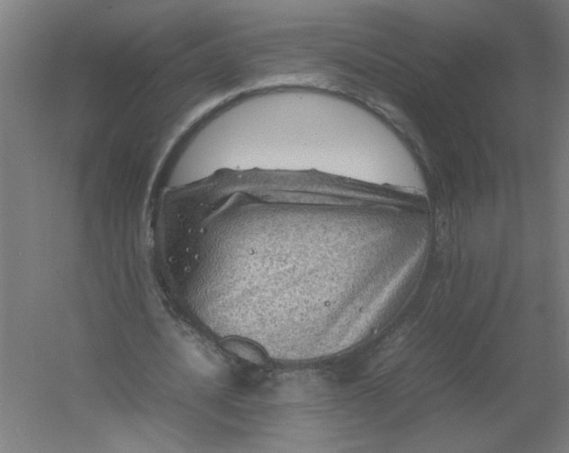 X0000054410628200508121726