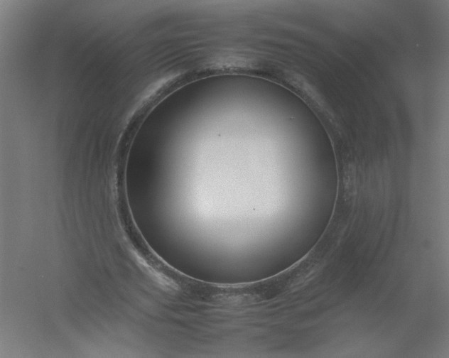 X0000054410629200508121726