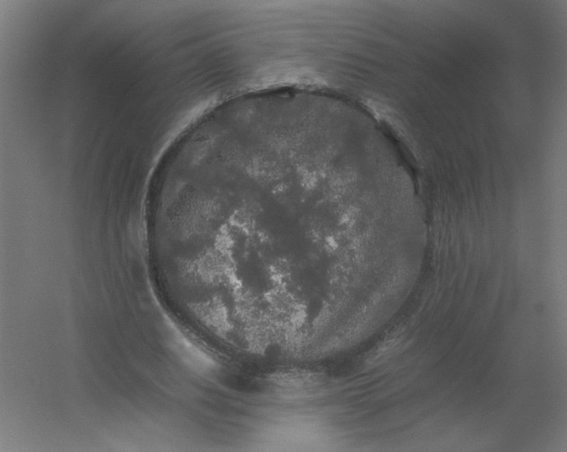 X0000054410630200508121726