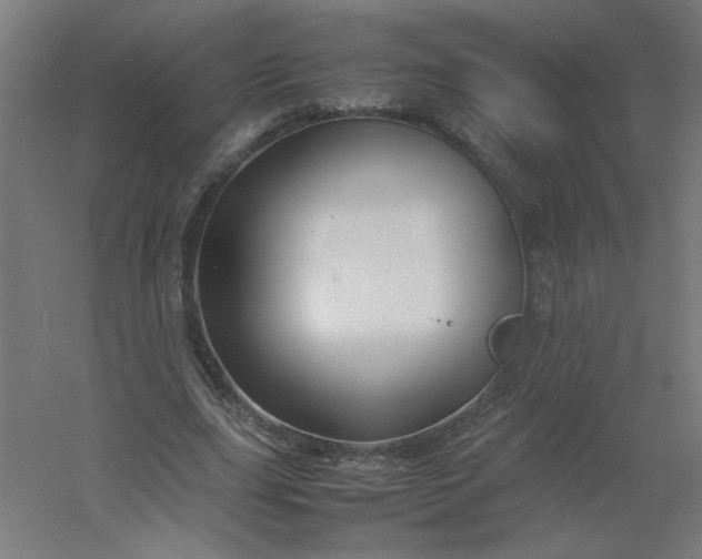 X0000054410631200508121726