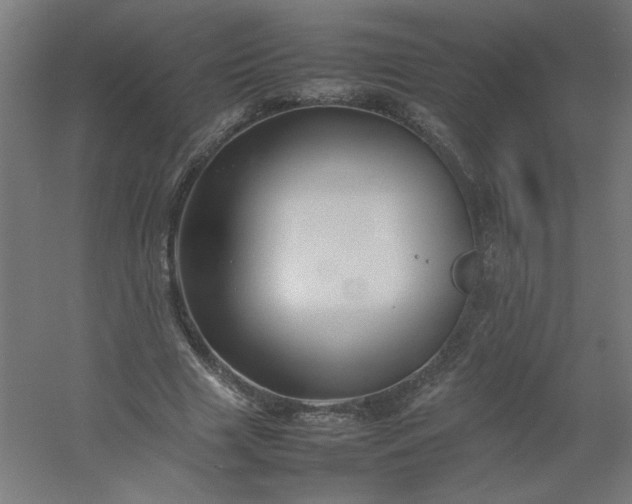 X0000054410633200508121726