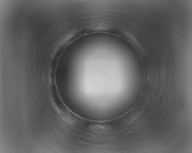 X0000054410635200508121726