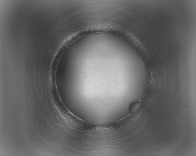 X0000054410636200508121726