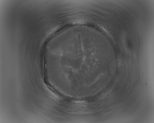 X0000054410637200508121726