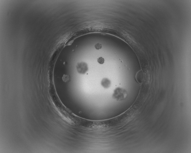 X0000054410638200508121726