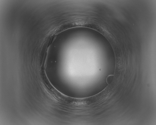 X0000054410639200508121726