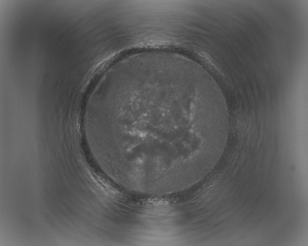 X0000054410640200508121726