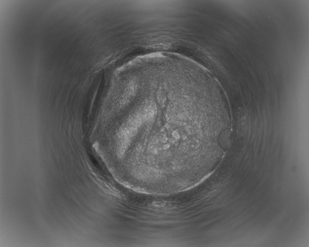 X0000054410641200508121726