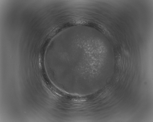 X0000054410643200508121726