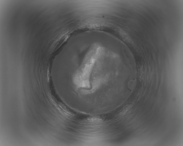 X0000054410644200508121726