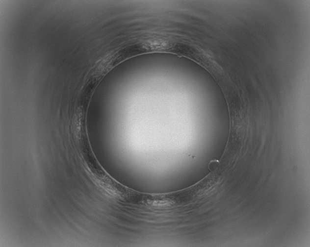 X0000054410645200508121726