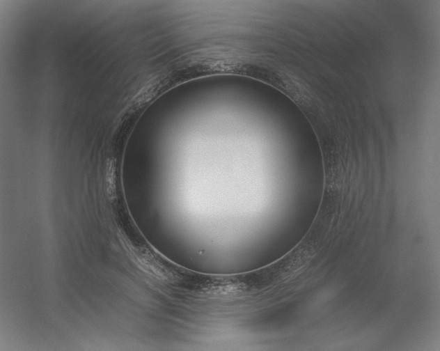 X0000054410646200508121726