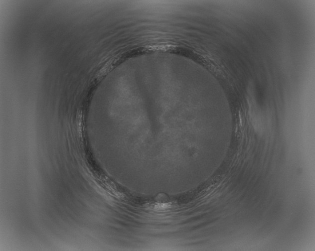 X0000054410647200508121726