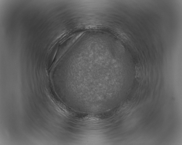 X0000054410648200508121726