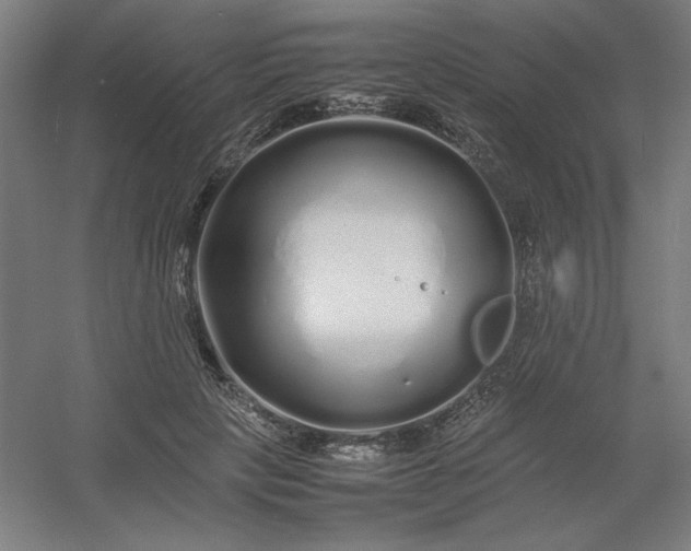 X0000054410649200508121726