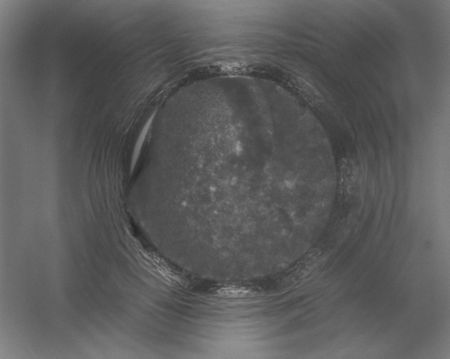 X0000054410650200508121726