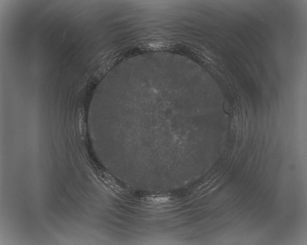 X0000054410651200508121726