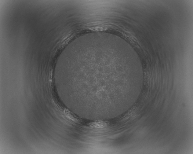 X0000054410652200508121726