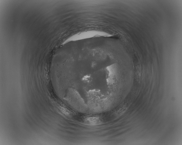 X0000054410653200508121726