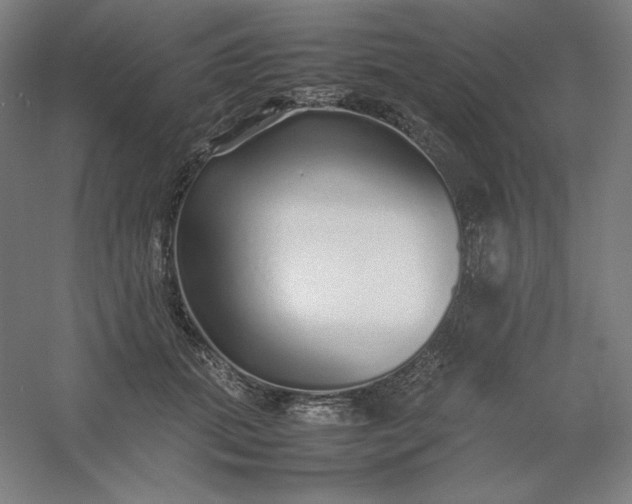 X0000054410655200508121726