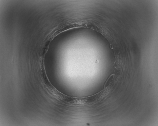 X0000054410656200508121726