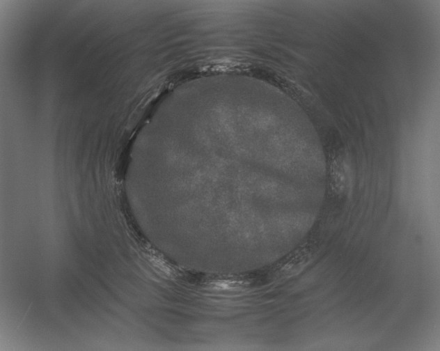 X0000054410657200508121726