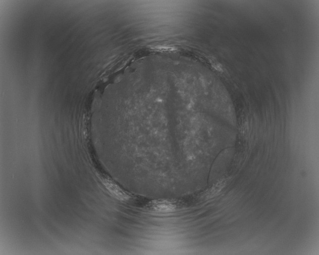 X0000054410658200508121726