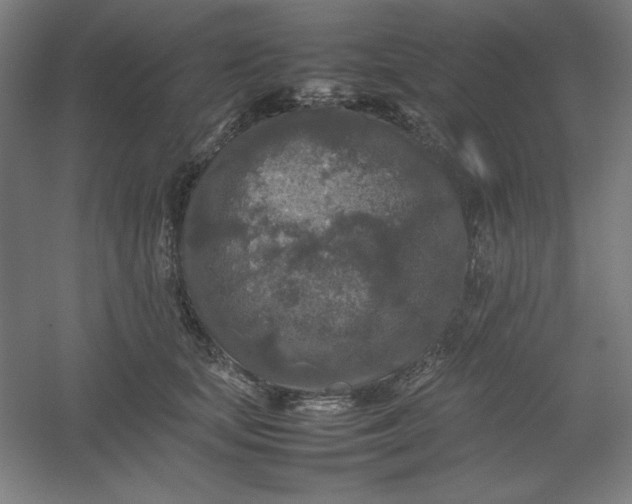 X0000054410659200508121726